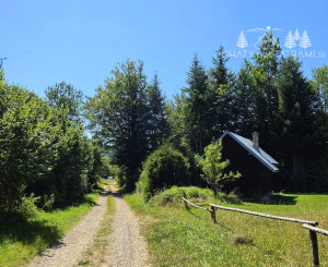 Stavebný pozemok v lese – Mýto pod Ďumbierom Nízke Tatry