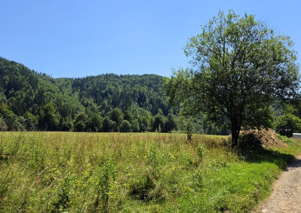 Stavebný pozemok v lese – Mýto pod Ďumbierom Nízke Tatry