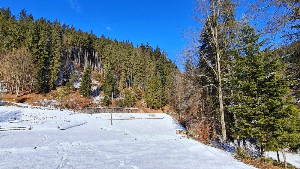 Investičná príležitosť v srdci prírody: Pozemok v Kamenistej