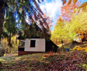 Útulná chata polosamota Tále Nízke Tatry