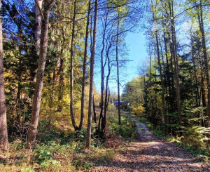 Pozemok s IS a stavebným povolením Krpáčovo Nízke Tatry - odstúpenie