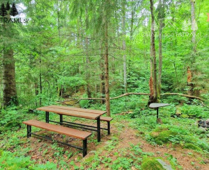 4i chata v lese pri potôčiku Krpáčovo Nízke Tatry