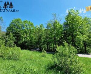 Rekreačný pozemok pri Hoteli Bystrá Nízke Tatry