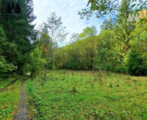 Pozemok pri vchode do jaskyne Bystrá Nízke Tatry