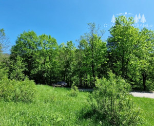 Rekreačný pozemok pri Hoteli Bystrá Nízke Tatry