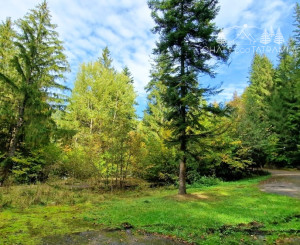 Pozemok pri vchode do jaskyne Bystrá Nízke Tatry