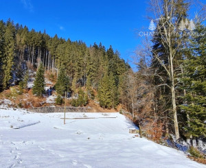 Investičná príležitosť v srdci prírody: Pozemok v Kamenistej