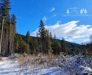 Investičná príležitosť v srdci prírody: Pozemok v Kamenistej