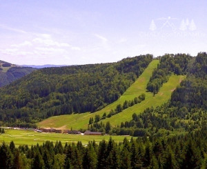Nová 4 izbová chata s galériou v lese - Tále, Nízke Tatry