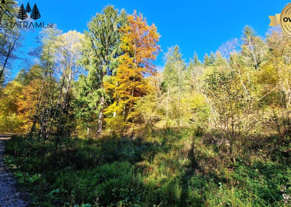 Pozemok s IS a stavebným povolením Krpáčovo Nízke Tatry - odstúpenie