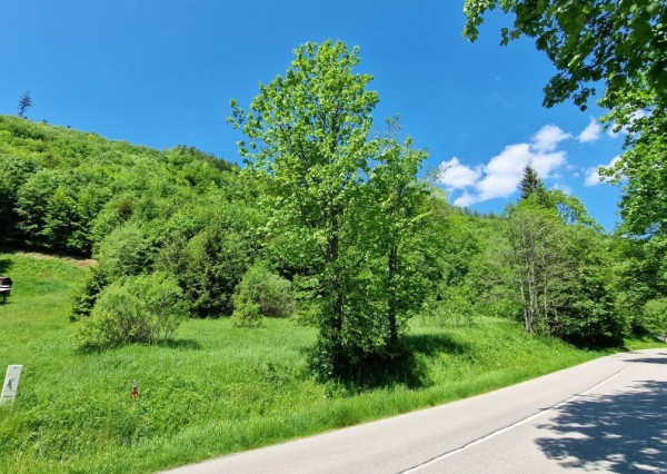 Rekreačný pozemok pri Hoteli Bystrá Nízke Tatry