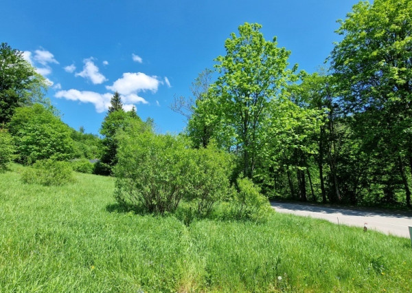 Rekreačný pozemok pri Hoteli Bystrá Nízke Tatry