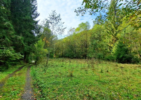 Pozemok pri vchode do jaskyne Bystrá Nízke Tatry