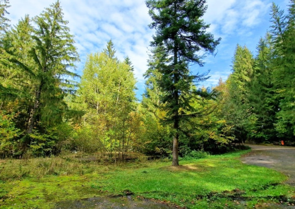 Pozemok pri vchode do jaskyne Bystrá Nízke Tatry