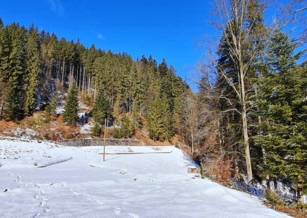 Investičná príležitosť v srdci prírody: Pozemok v Kamenistej