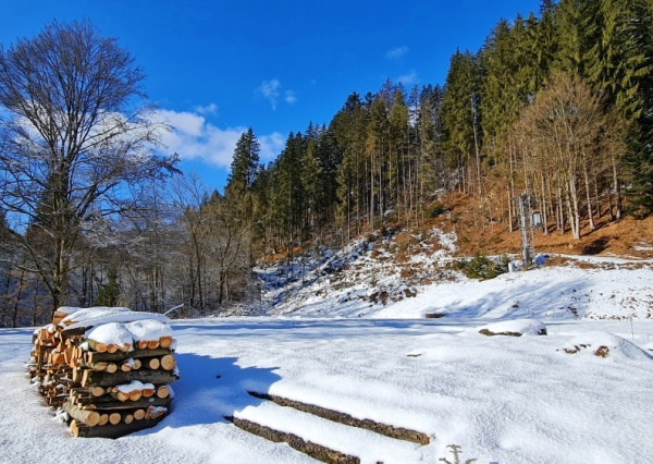Investičná príležitosť v srdci prírody: Pozemok v Kamenistej