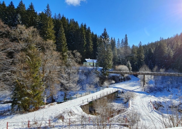 Investičná príležitosť v srdci prírody: Pozemok v Kamenistej