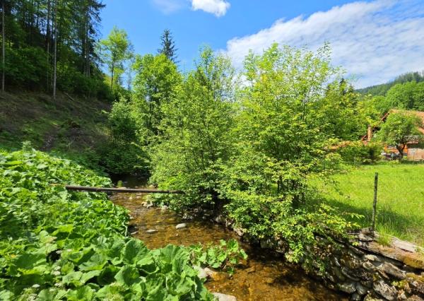 Stavebný pozemok s IS pri potoku Bystrá Nízke Tatry