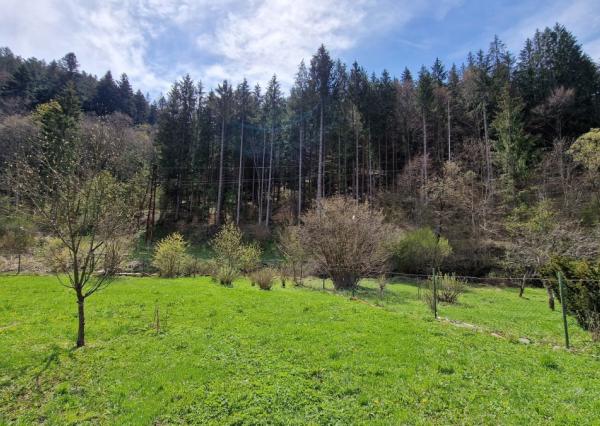 Stavebný pozemok s IS pri potoku Bystrá Nízke Tatry