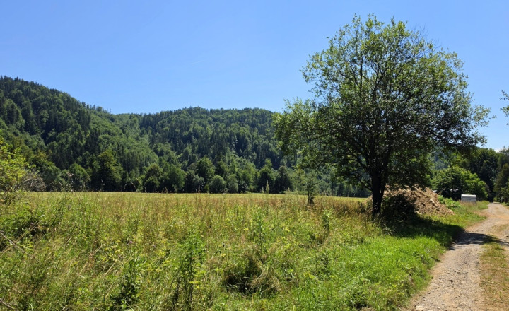 Stavebný pozemok v lese – Mýto pod Ďumbierom Nízke Tatry - fotografia 7