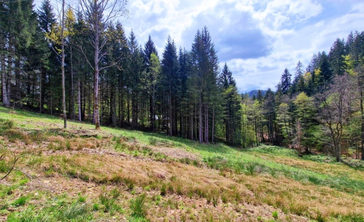 Exkluzívne stavebné pozemky Tále – Nízke Tatry - fotografia 4