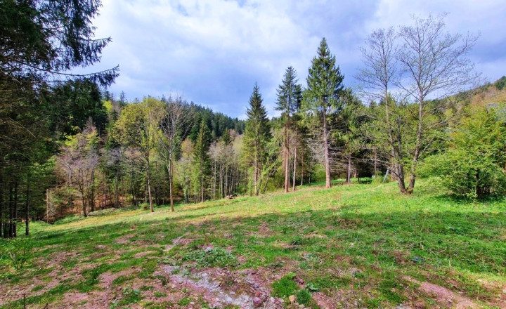 Exkluzívne stavebné pozemky Tále – Nízke Tatry - fotografia 6